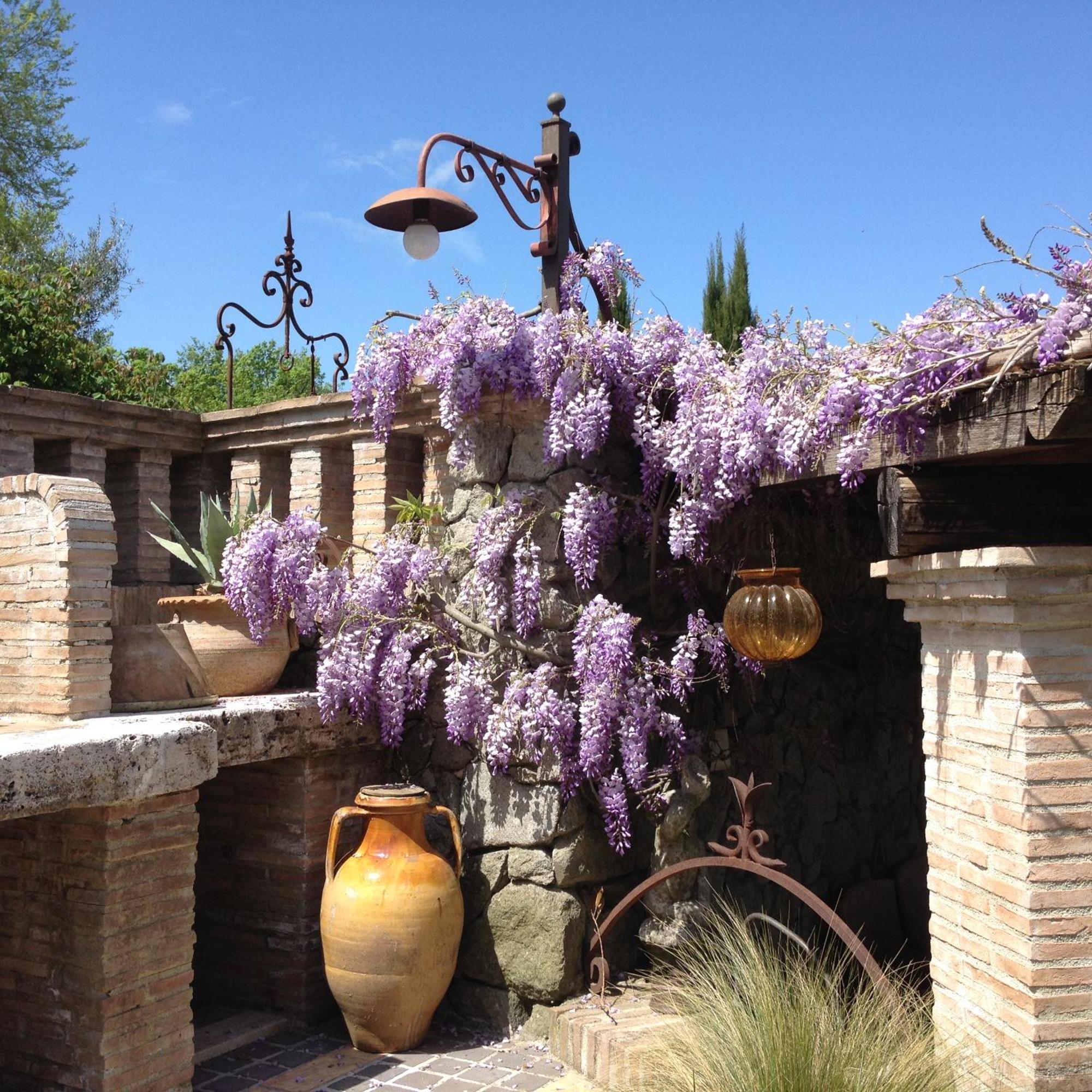 Villa Olivella Campagnano Di Roma Exterior foto