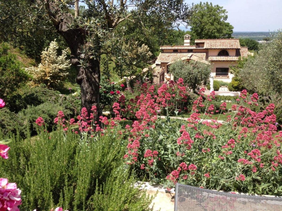 Villa Olivella Campagnano Di Roma Exterior foto